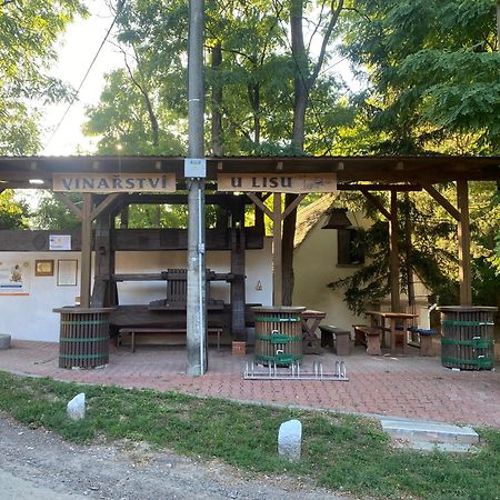 فندق Wbs Vinarstvi U Lisu Znojmo 6345 المظهر الخارجي الصورة